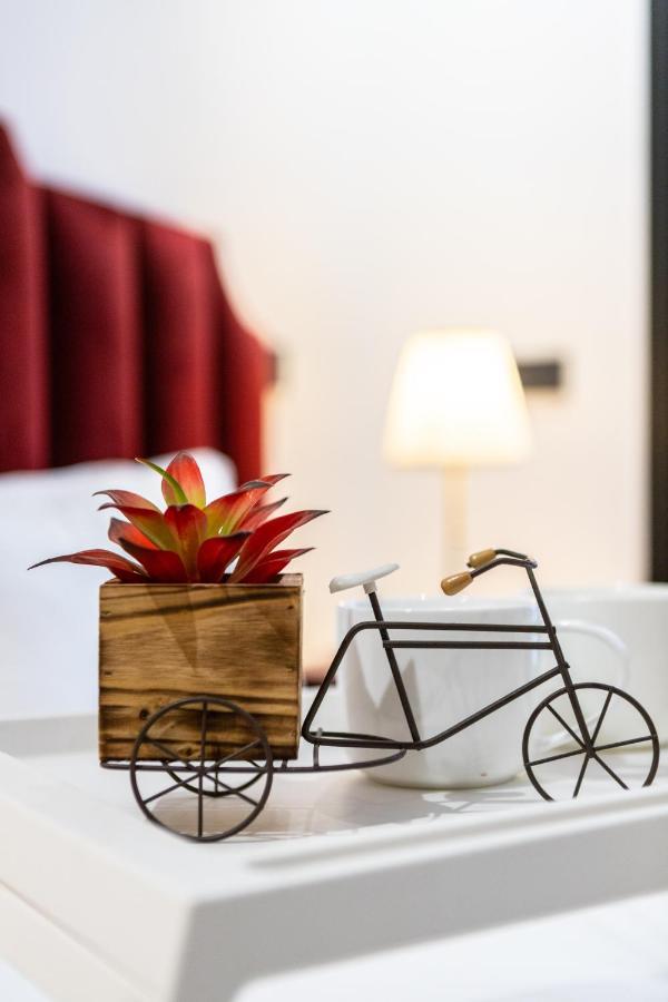 Apartamento Stylish & Chic Flat - Place - New Building Casa Blanca